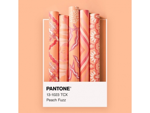 PANTONE 2024 年度代表色正式发布：PANTONE 13-1023 柔和桃 