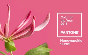 PANTONE彩通2011年度色：金银花粉（18-2120）