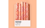 PANTONE 2024 年度代表色正式发布：PANTONE 13-1023 柔和桃 