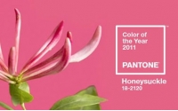 PANTONE彩通2011年度色：金银花粉（18-2120）