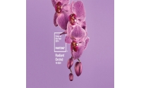 PANTONE 2014年度色：兰花紫（18-3224）