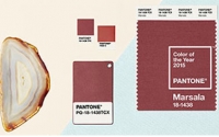 PANTONE 2015年度色：玛萨拉酒红(18-1438)