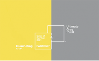 PANTONE  2021年度色：亮丽黄（13-0647）&极致灰（17-5104）