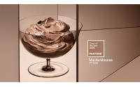PANTONE  2025年度流行色发布：17-1230Mocha Mousse（摩卡慕斯）
