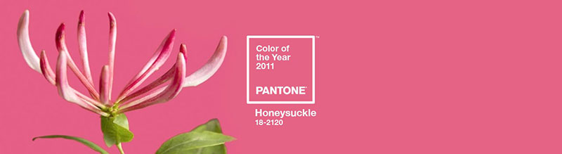 PANTONE彩通2011年度色：金银花粉（18-2120）(图1)