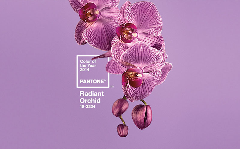 PANTONE014年度色：兰花紫（18-3224）(图1)