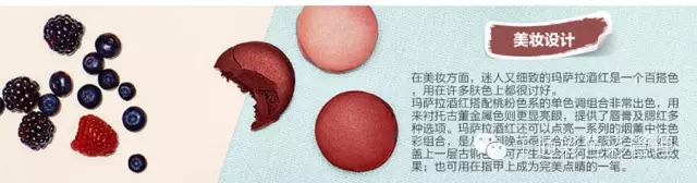 PANTONE 2015年度色：玛萨拉酒红(18-1438)(图4)
