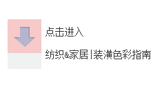  PANTONE  2016年度色：粉水晶（13-1520）&宁静蓝（15-3919）(图5)