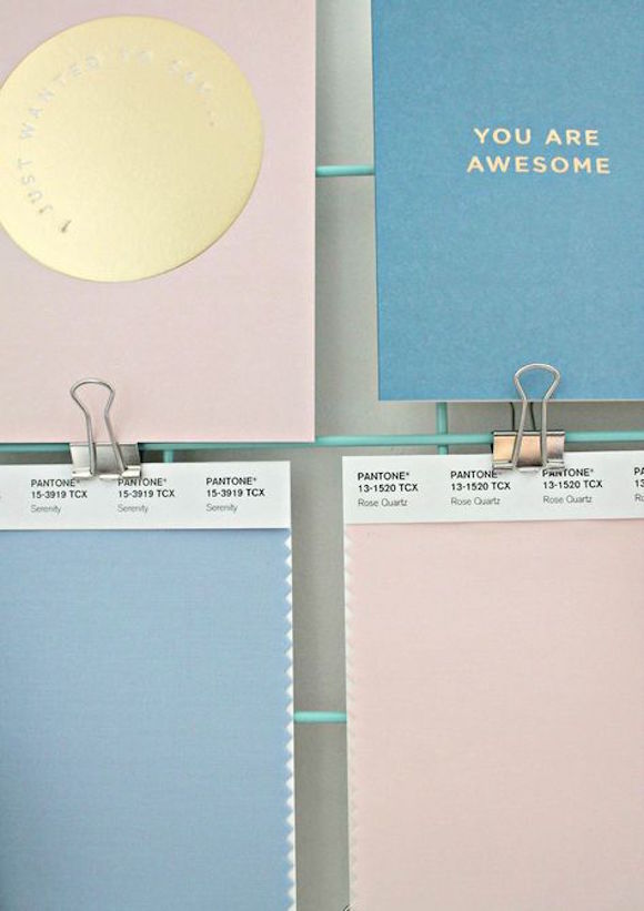  PANTONE  2016年度色：粉水晶（13-1520）&宁静蓝（15-3919）(图13)