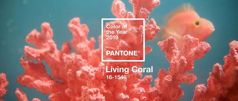 PANTONE 2019年度色：活珊瑚橘（16-1546 ）(图1)