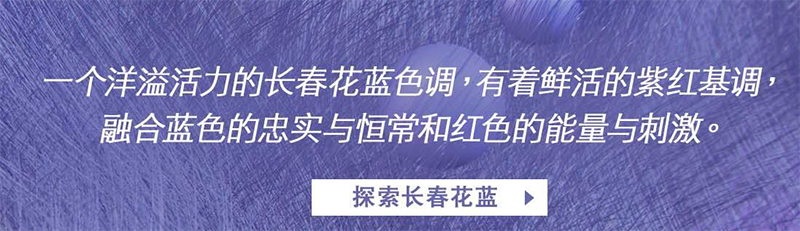 PANTONE 2022年度色：长春花蓝17-3938 VERY PERI(图2)