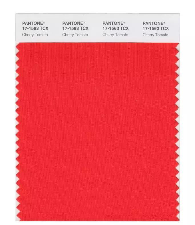 PANTONE公布2018春夏男女装值得关注的12个潮流色(图3)