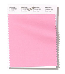 Pantone|纽约时装周春/夏2019时尚色彩趋势报告(图13)
