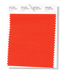 Pantone|纽约时装周春/夏2019时尚色彩趋势报告(图2)