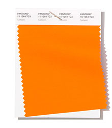 Pantone|纽约时装周春/夏2019时尚色彩趋势报告(图4)