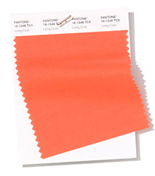 Pantone|纽约时装周春/夏2019时尚色彩趋势报告(图5)