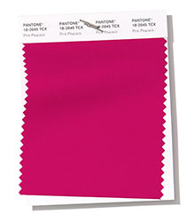 Pantone|纽约时装周春/夏2019时尚色彩趋势报告(图6)