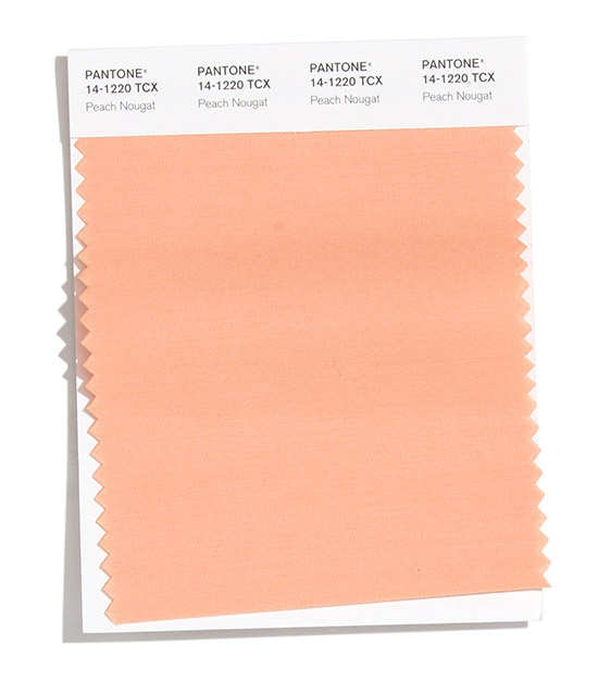 PANTONE 2020/2021秋冬纽约时装流行色报告(图10)