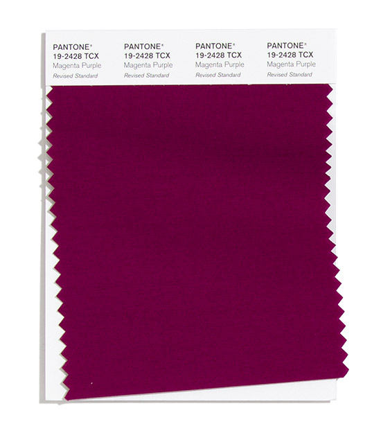 PANTONE 2020/2021秋冬纽约时装流行色报告(图11)