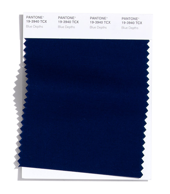 PANTONE 2020/2021秋冬纽约时装流行色报告(图13)