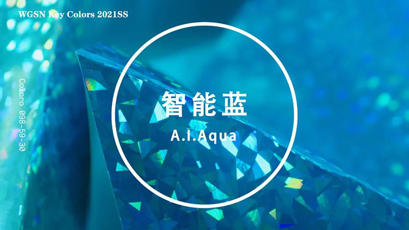 2021春夏5大关键色系流行色彩COLORO x WGSN(图5)