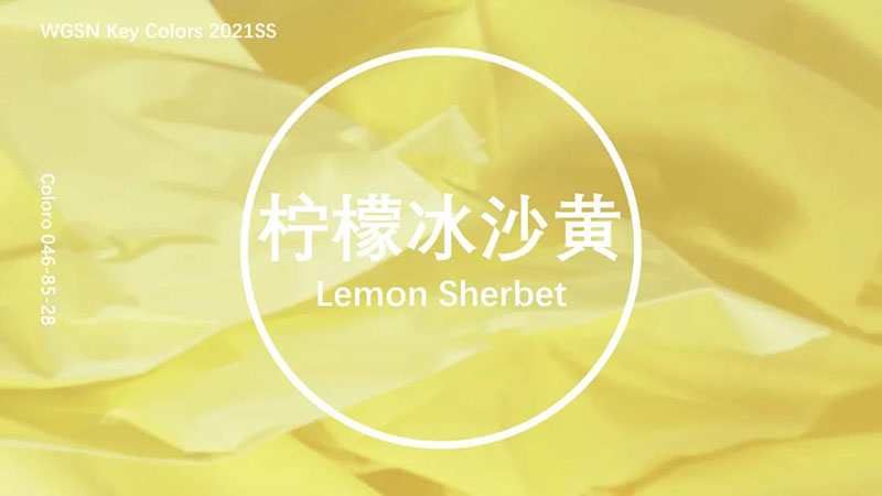 2021春夏5大关键色系流行色彩COLORO x WGSN(图11)
