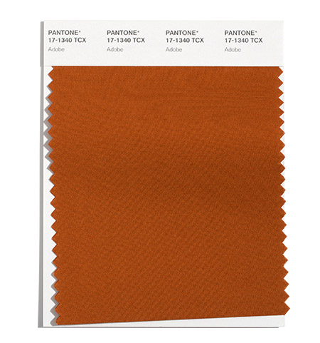 PANTONE  2021/2022秋冬纽约时装周流行色趋势报告(图7)