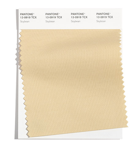 PANTONE  2021/2022秋冬纽约时装周流行色趋势报告(图14)