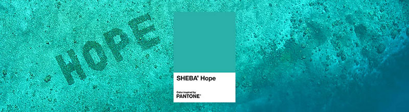 PANTONE与猫粮品牌SHEBA合作打造热带蓝绿色调以支持珊瑚礁修复项目(图1)