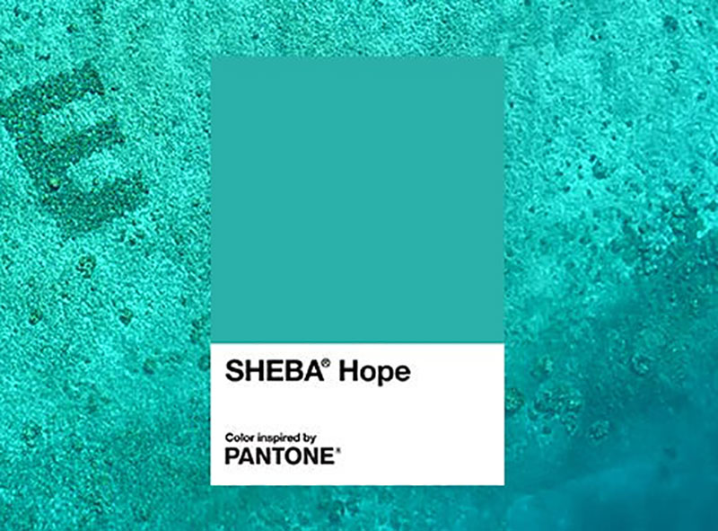 PANTONE与猫粮品牌SHEBA合作打造热带蓝绿色调以支持珊瑚礁修复项目(图2)