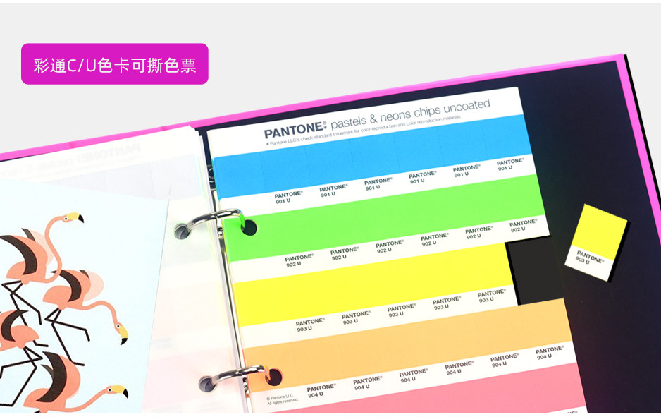 	 PANTONE潘通色彩工作室全套色库12本装(图5)
