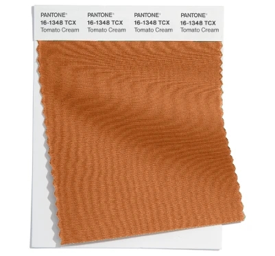 PANTONE 16-1348TCX