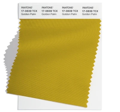 PANTONE 17-0839TCX