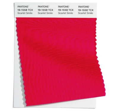 PANTONE 19-1558TCX