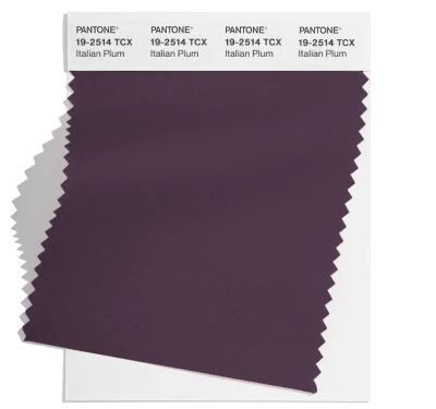 PANTONE 19-2514TCX
