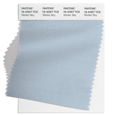 PANTONE 14-4307TCX.jpg