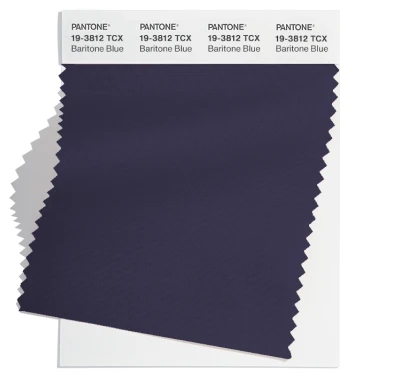 PANTONE 19-3812TCX