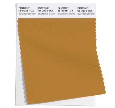 PANTONE 18-0935TCX
