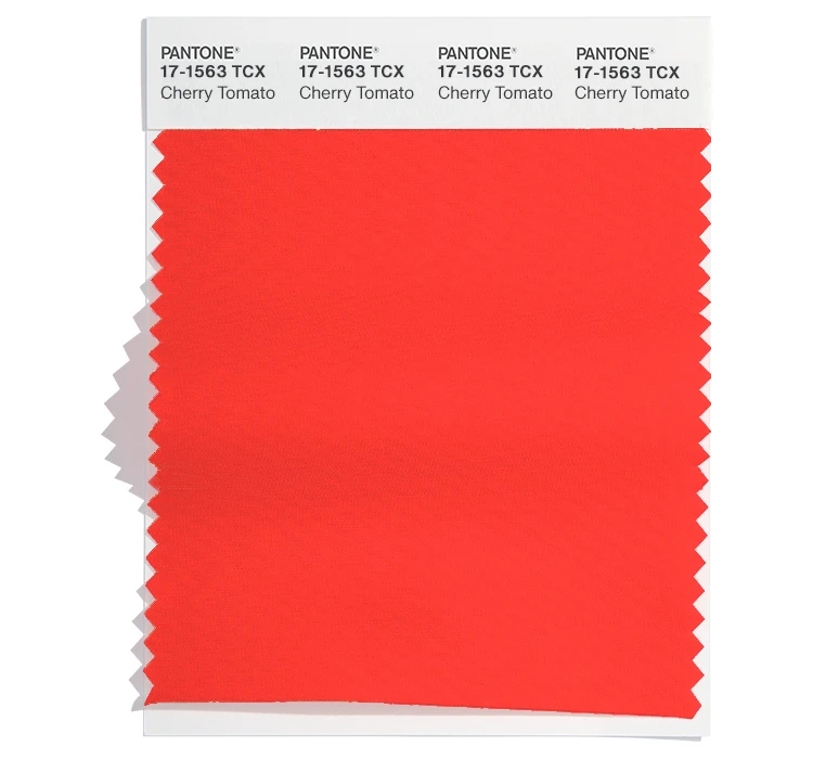 PANTONE 17-1563TCX