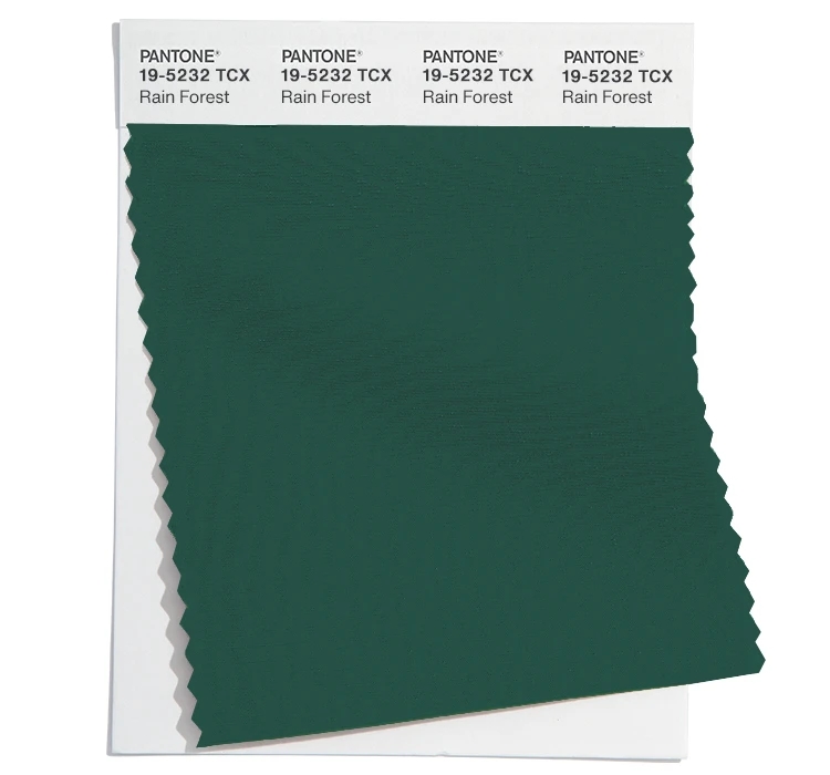 PANTONE 19-5232TCX