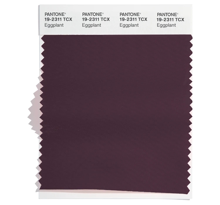 PANTONE 19-2311TCX
