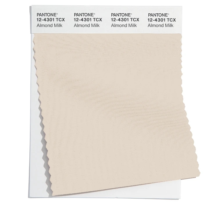 PANTONE 12-4301TCX