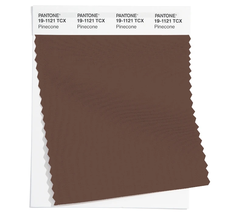 PANTONE 19-1121TCX