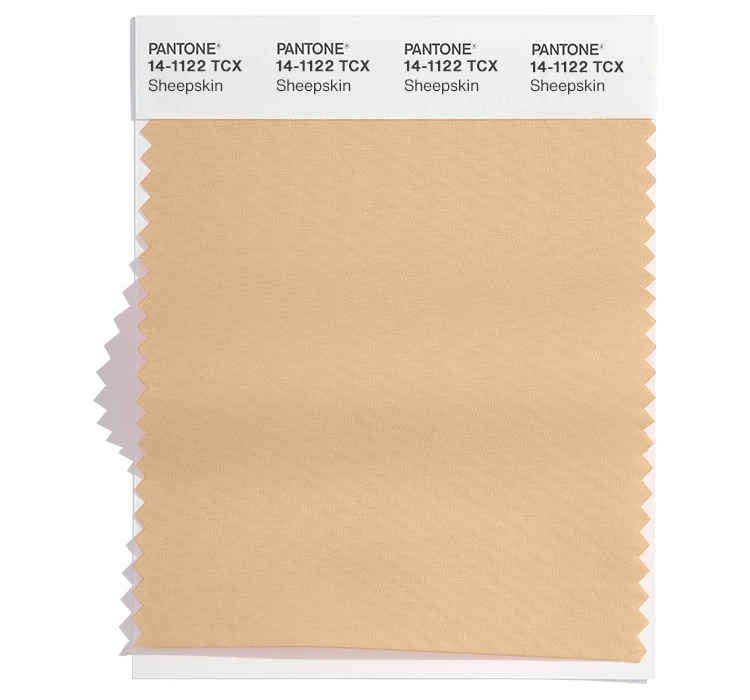 PANTONE 14-1122TCX