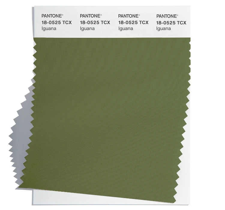 PANTONE 18-0525TCX