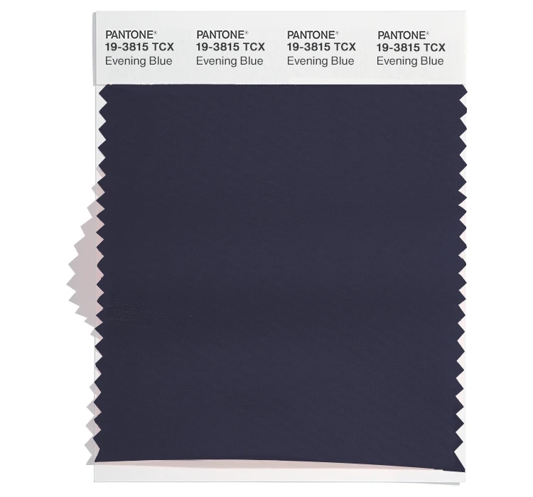 PANTONE 19-3815TCX