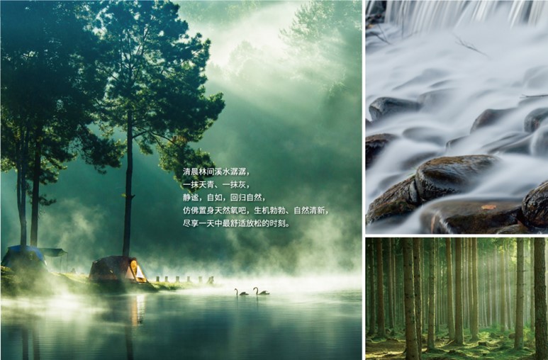 PANTONE与知名品牌的合作“色”得很(图6)