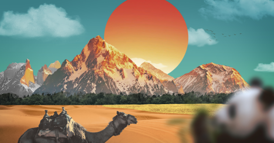 4-24041GI91A19.png
